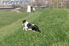 panasonic_lumix_fz300_fotografija slika primjer (12).JPG
